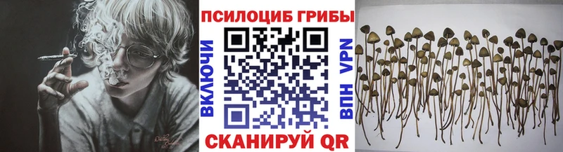 Купить  Берёзовский  Псилоцибиновые грибы Magic Shrooms 